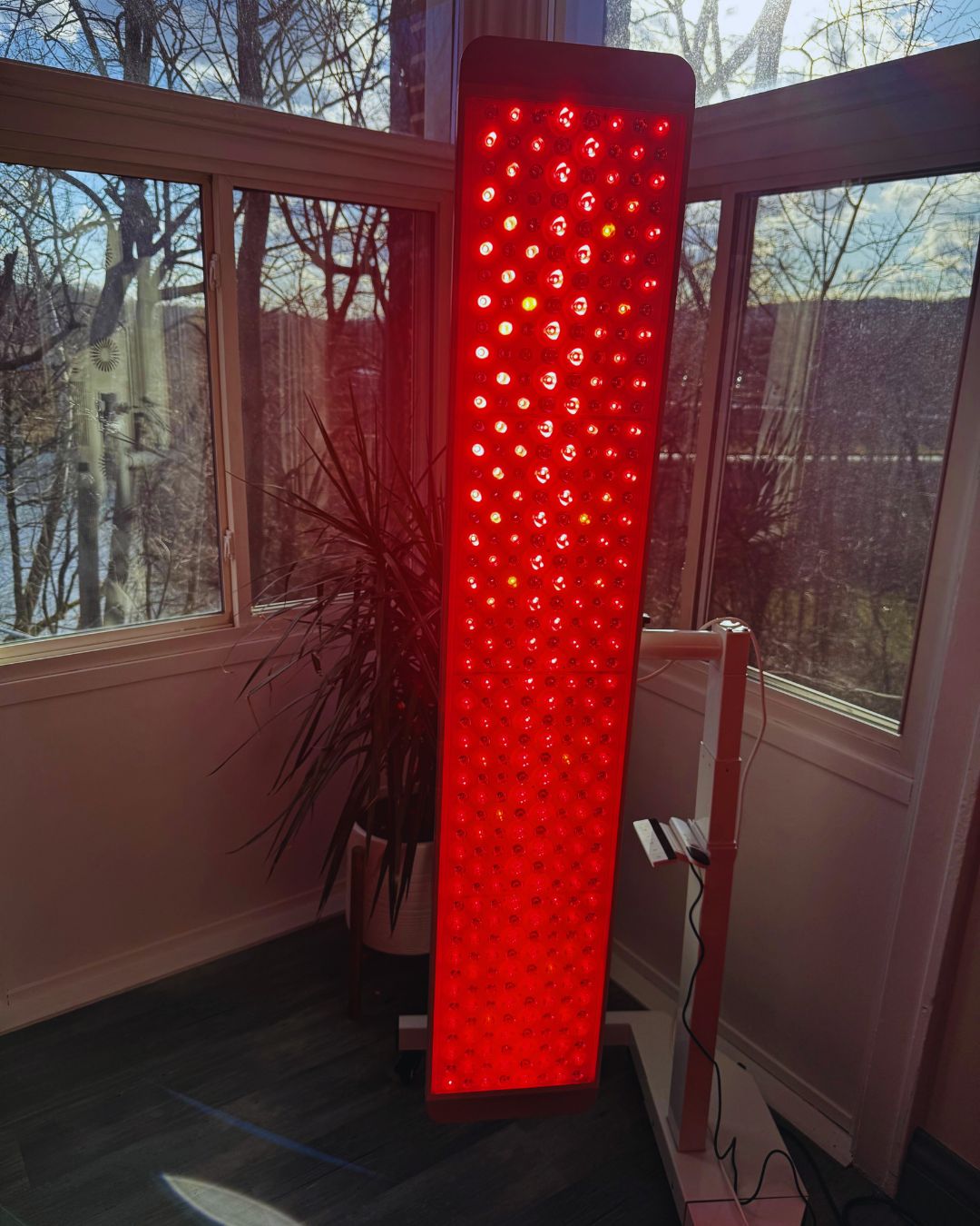 Vasindux GENX PRO 2.0 Red Light Panel